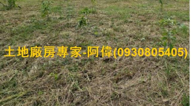 高雄鳥松農地-0