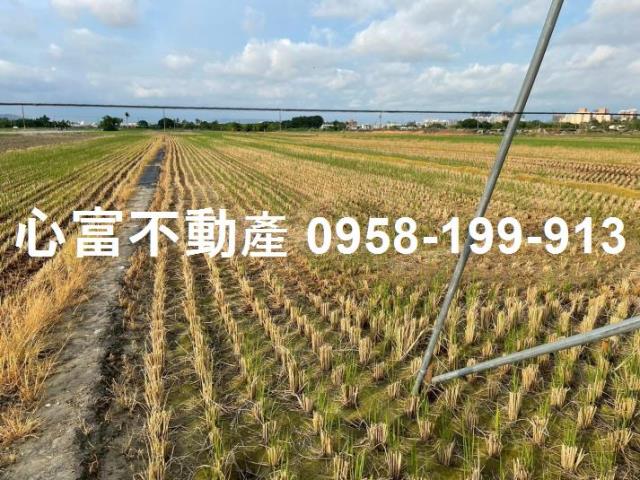 高雄橋頭農地-0