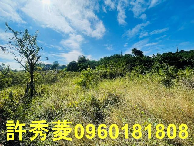 高雄燕巢農地-2