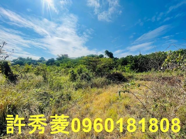 高雄燕巢農地-4