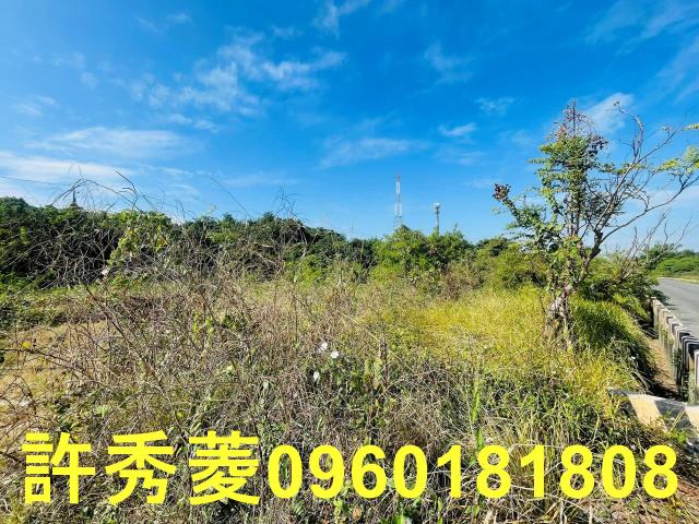 高雄燕巢農地-6