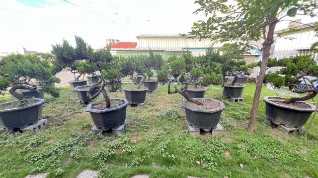 高雄岡山建地-5