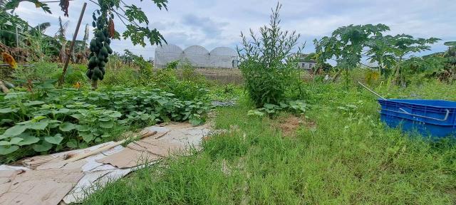 高雄美濃農地-0