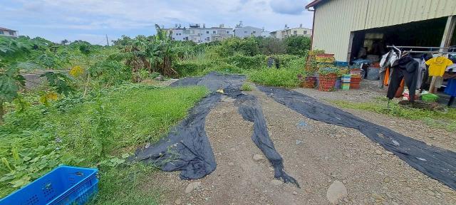 高雄美濃農地-1