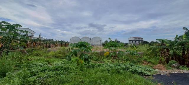 高雄美濃農地-3