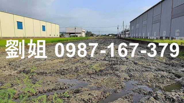 高雄阿蓮農地-1