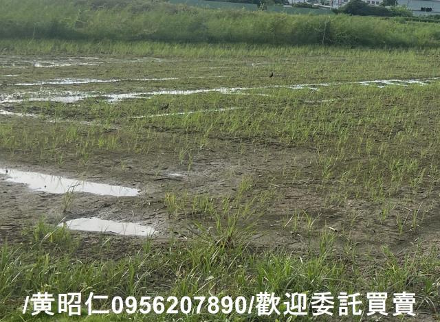 高雄岡山農地-3