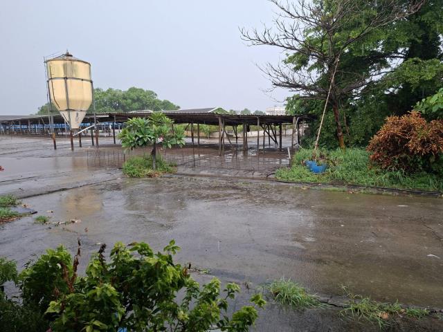 高雄阿蓮農地-10