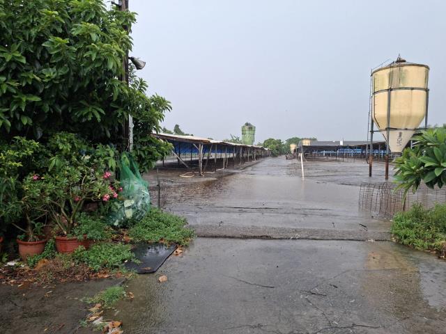 高雄阿蓮農地-13