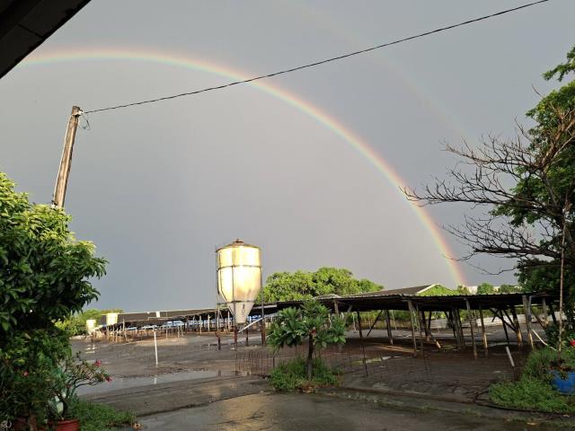 高雄阿蓮農地-1