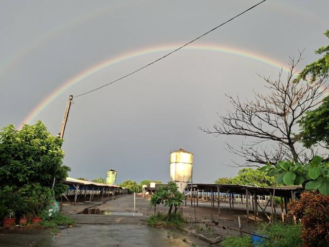 高雄阿蓮農地-2