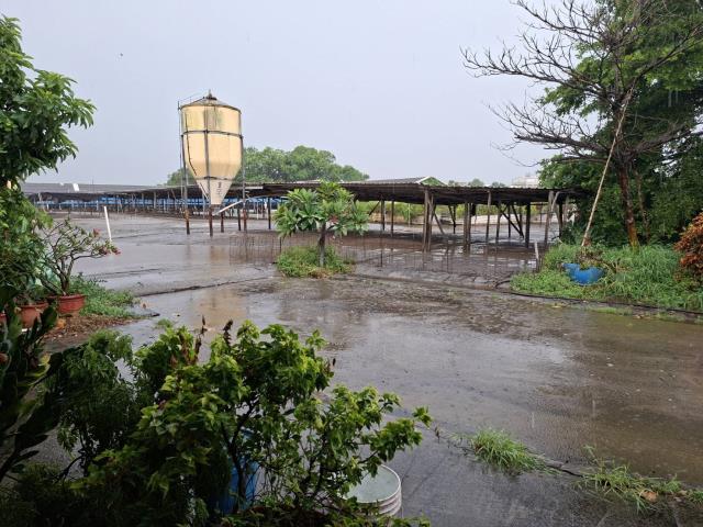 高雄阿蓮農地-5