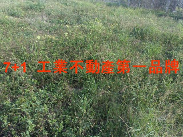 高雄大寮農地-3