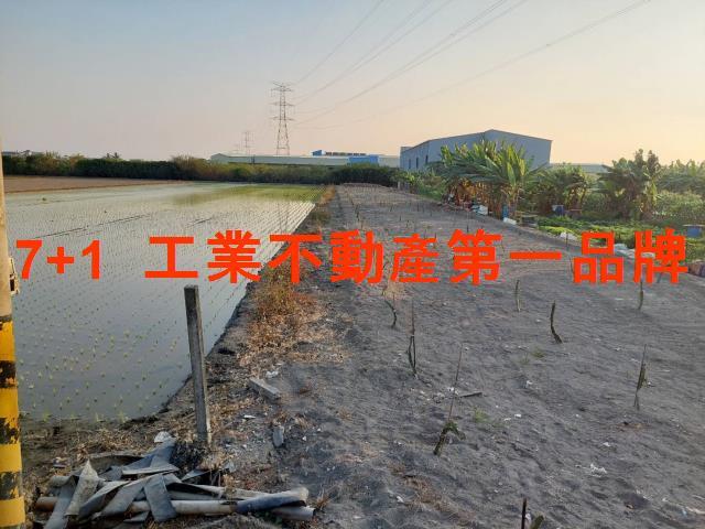 高雄大寮農地-2