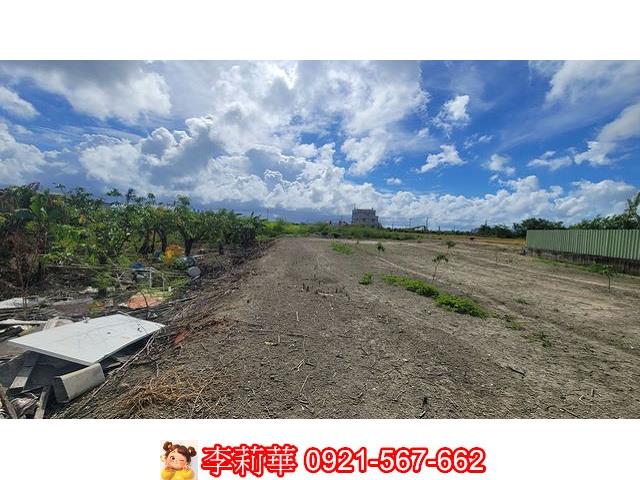 高雄路竹農地-9