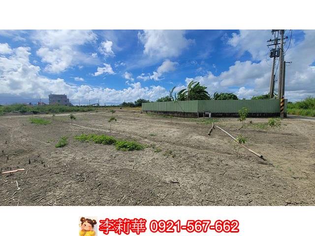 高雄路竹農地-6