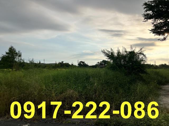 高雄岡山農地-0