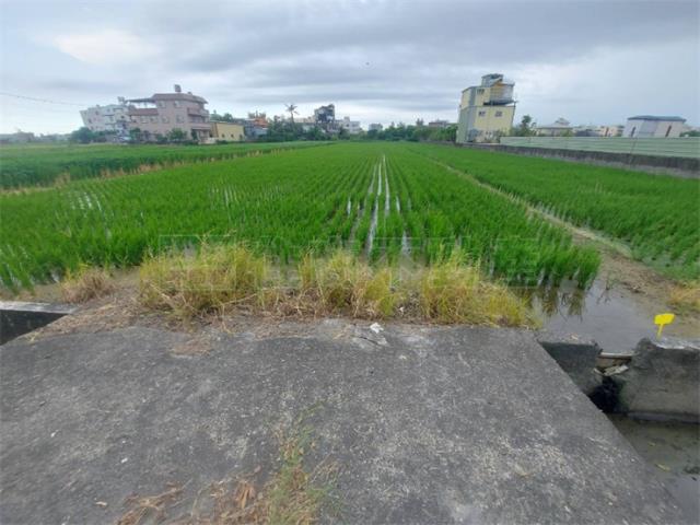 高雄橋頭農地-1