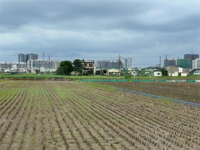 高雄橋頭農地-4
