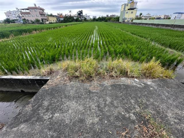 高雄橋頭農地-7