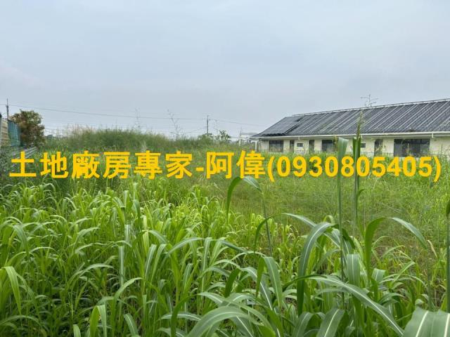 大寮農地-0