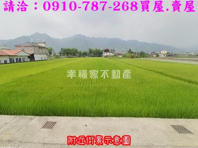 高雄美濃農地-5