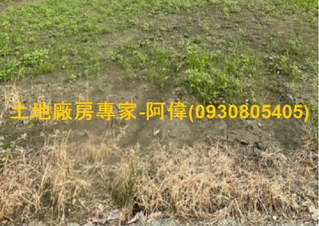 高雄大寮農地-0