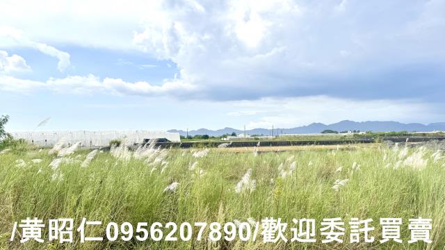 高雄農地-5