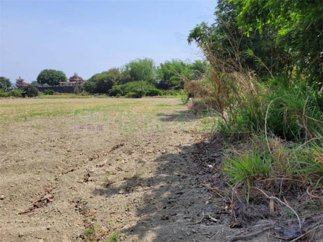 高雄阿蓮農地-2