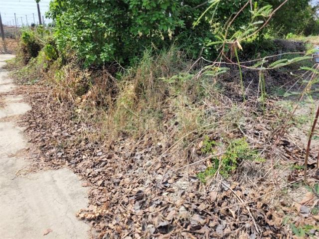 高雄阿蓮農地-5