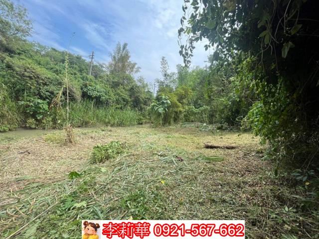 高雄田寮農地-1