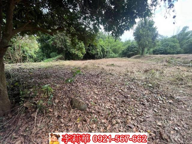 高雄田寮農地-2