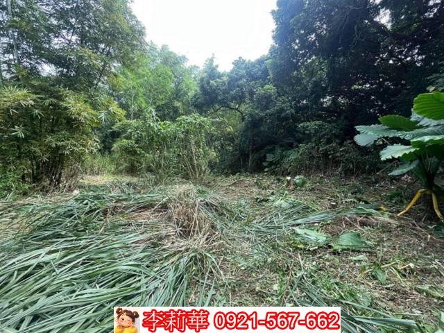 高雄田寮農地-8