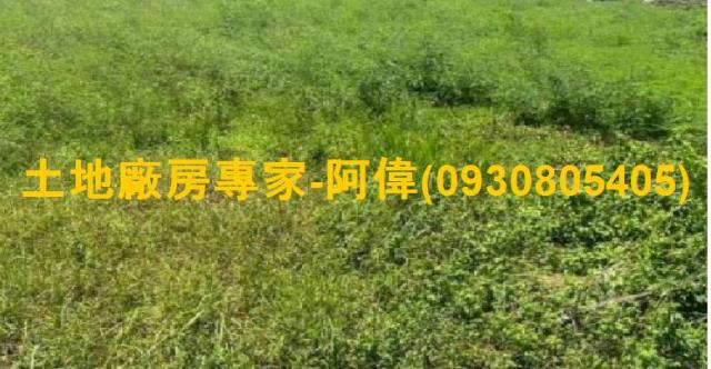 高雄大寮農地-0