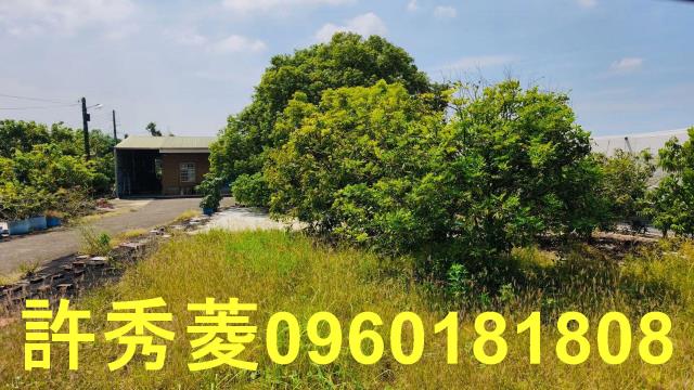 高雄阿蓮農地-2