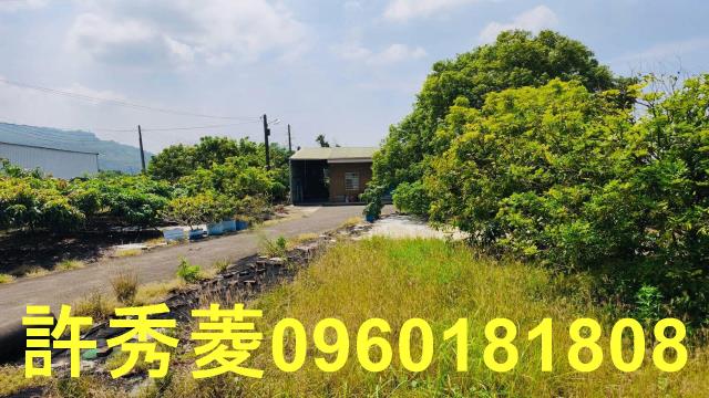 高雄阿蓮農地-4