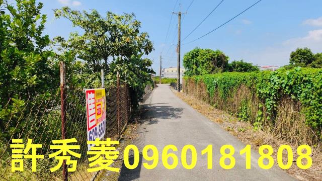 高雄阿蓮農地-5