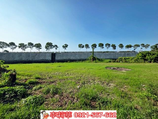 湖內建地-9