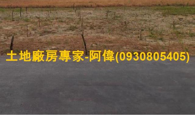 高雄仁武農地-0