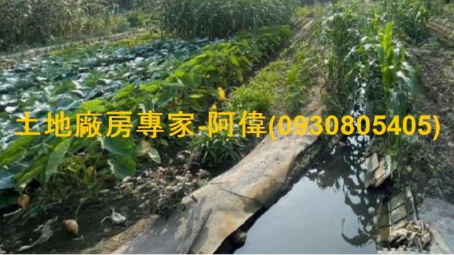 高雄大寮農地-0