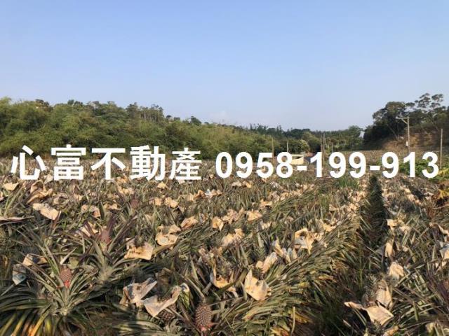 高雄鳥松農地-0