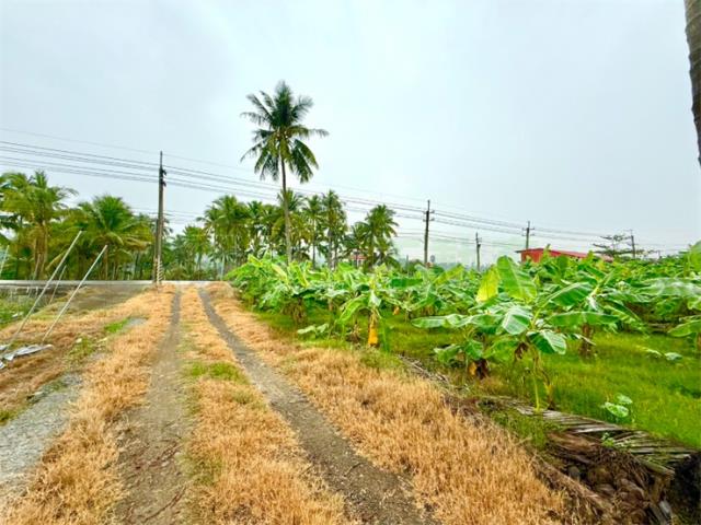 高雄旗山農地-1