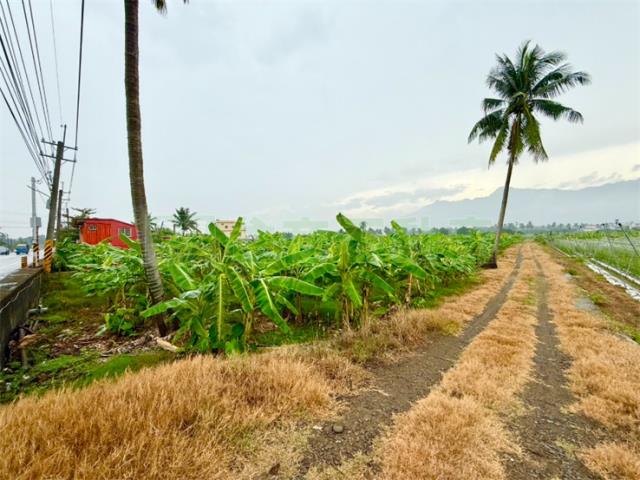 高雄旗山農地-3