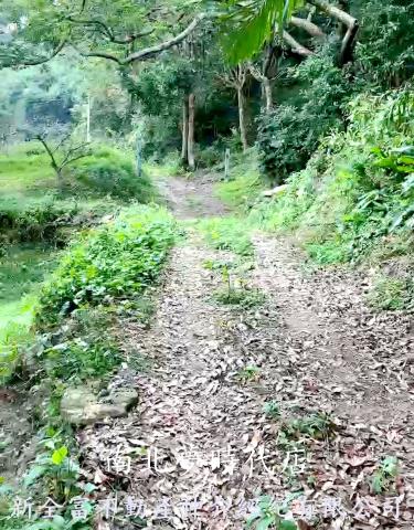 高雄杉林農地-1