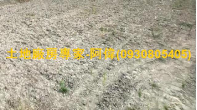 高雄大寮農地-0