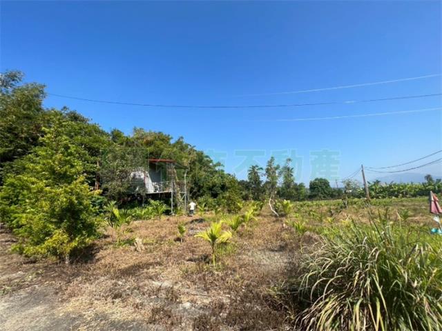 高雄旗山農地-4