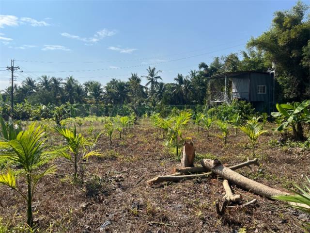 高雄旗山農地-8