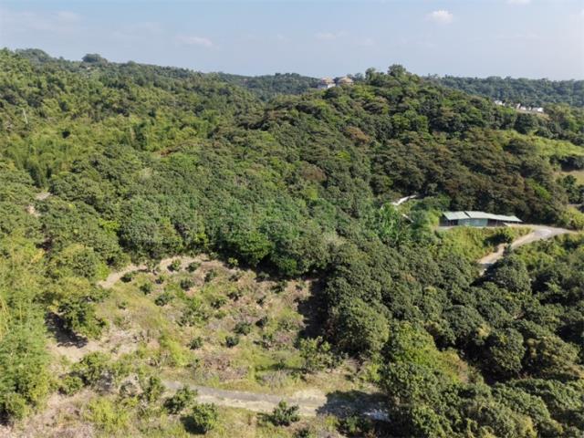 高雄大樹農地-0