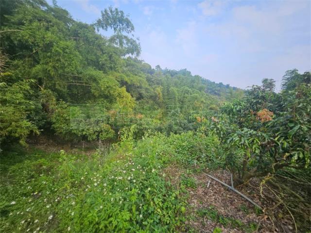 高雄大樹農地-3