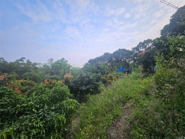 高雄大樹農地-8